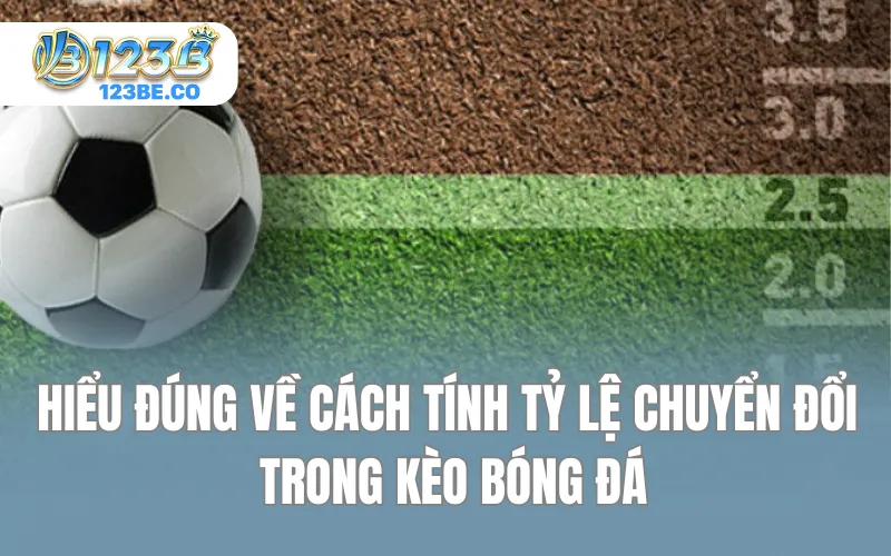Hiểu đúng về cách tính tỷ lệ chuyển đổi trong kèo bóng đá