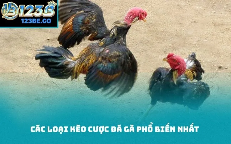 Các loại kèo cược đá gà phổ biến nhất 