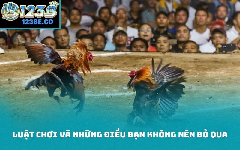 Luật chơi và những điều bạn không nên bỏ qua