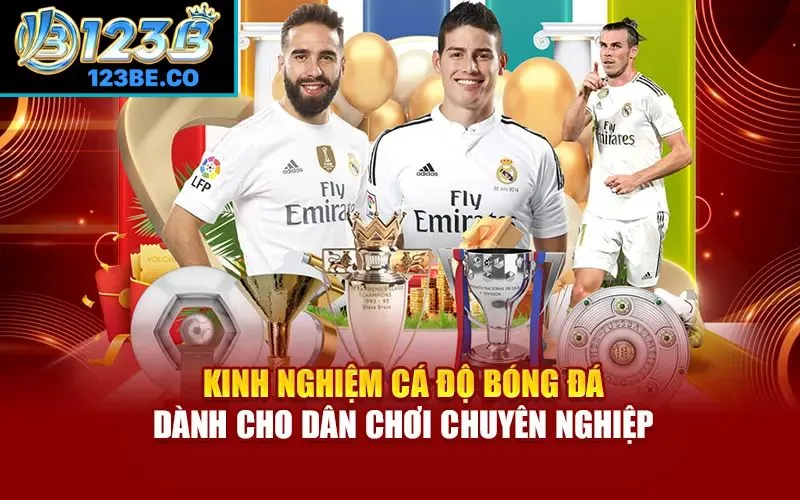 Kinh nghiệm cá độ bóng đá bất bại cho tân binh