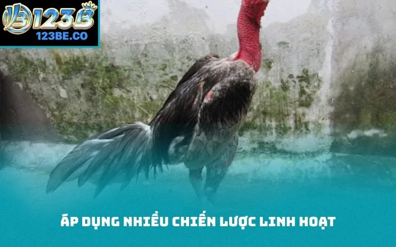 Áp dụng nhiều chiến lược linh hoạt