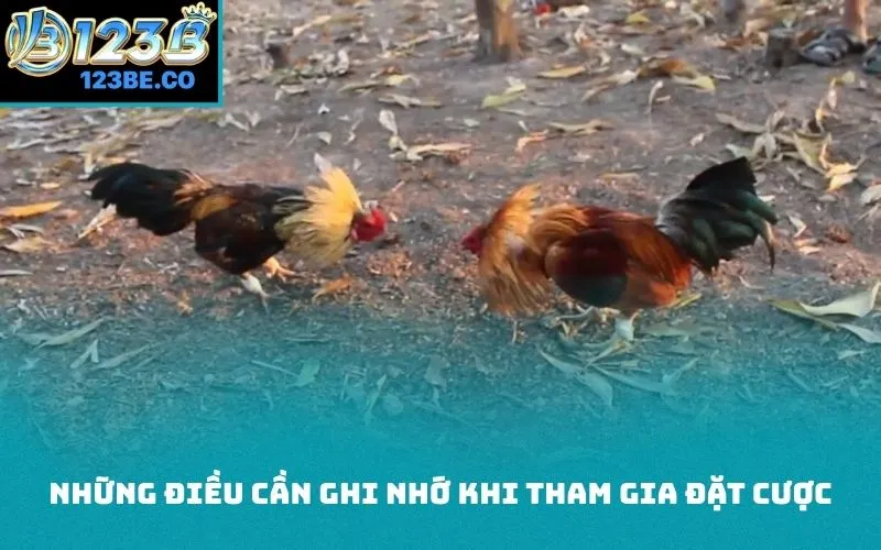 Những điều cần ghi nhớ khi tham gia đặt cược