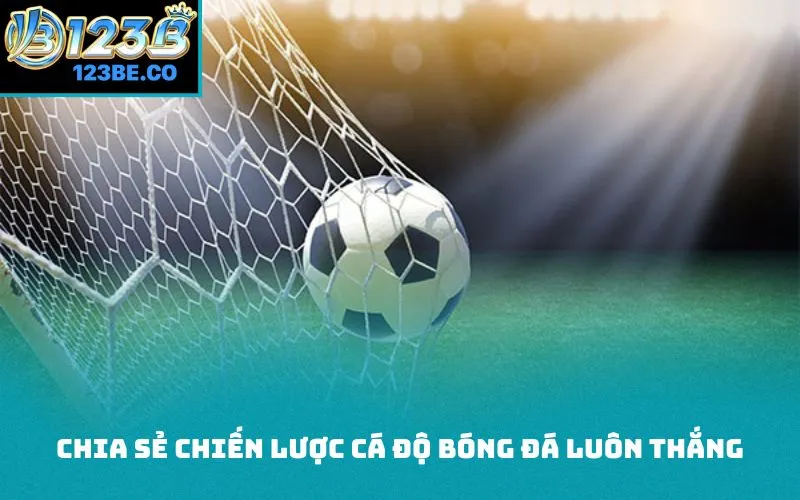 Chia sẻ chiến lược cá độ bóng đá luôn thắng