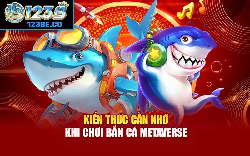 Kiến thức cần nhớ khi chơi bắn cá Metaverse