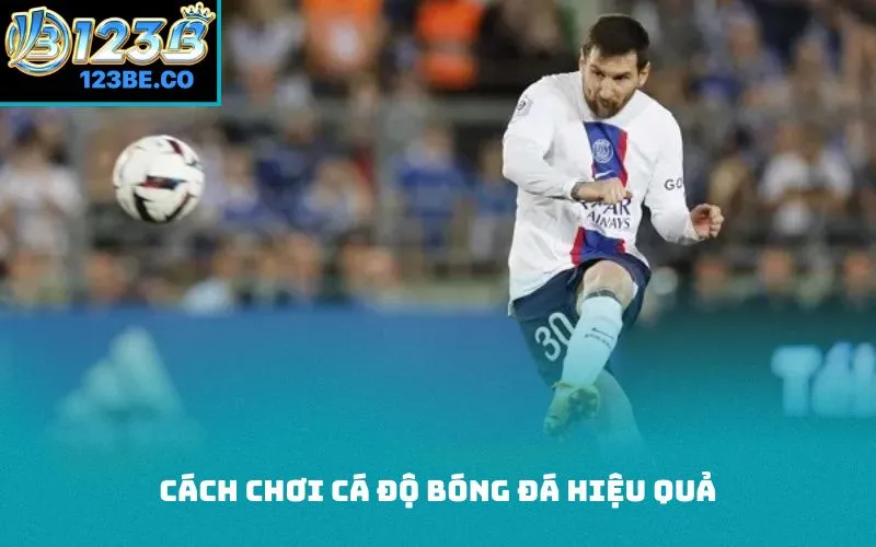 cách chơi cá độ bóng đá hiệu quả